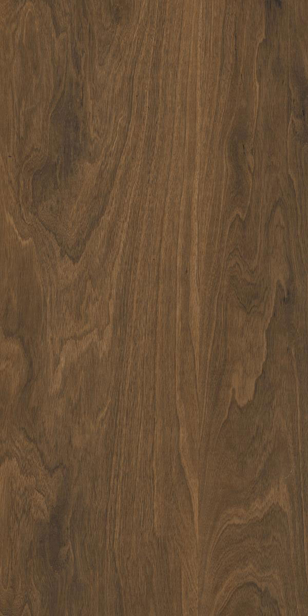 MAPLE BROWN F1